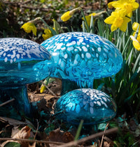 Glass Mushrooms