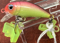 Fishing Lures