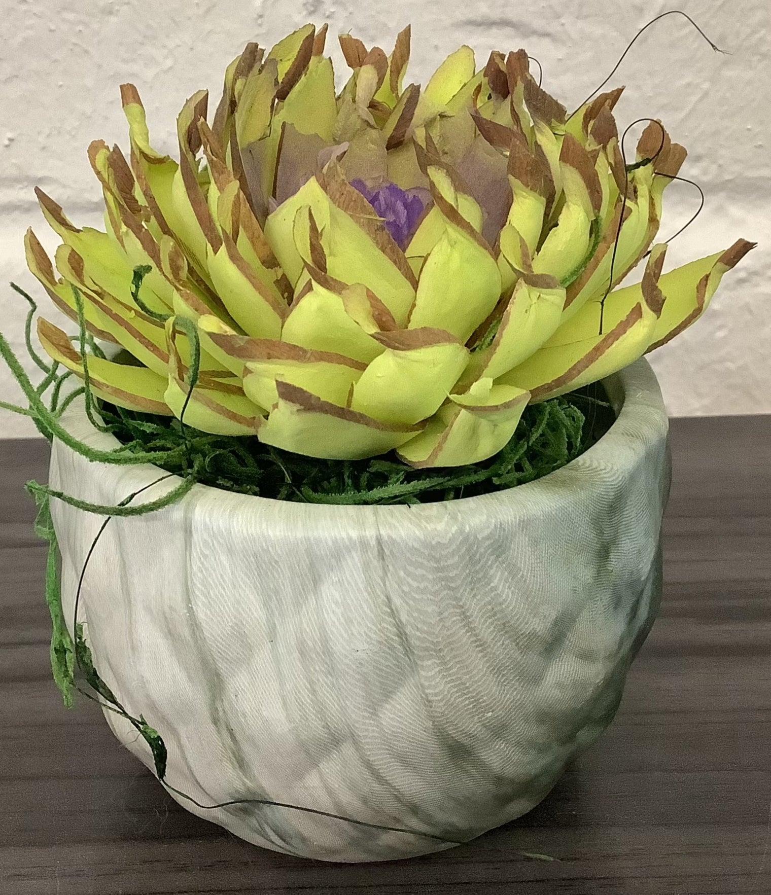 Single Wooden Succulent